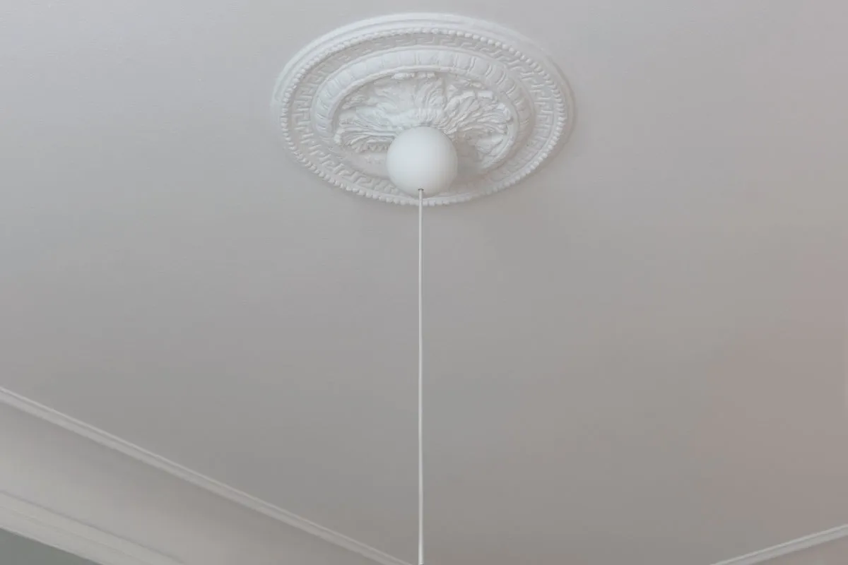 CANNONBALL Light Canopy
