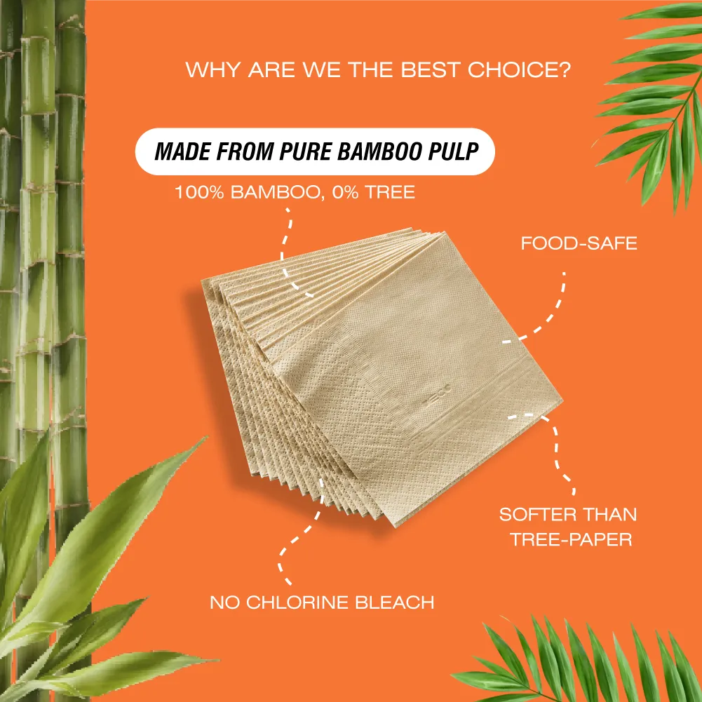 Eco-friendly Starter Bundle For Home